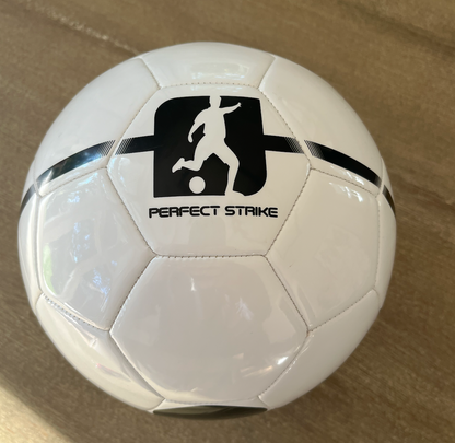 Perfect Strike Training Ball " The OG"